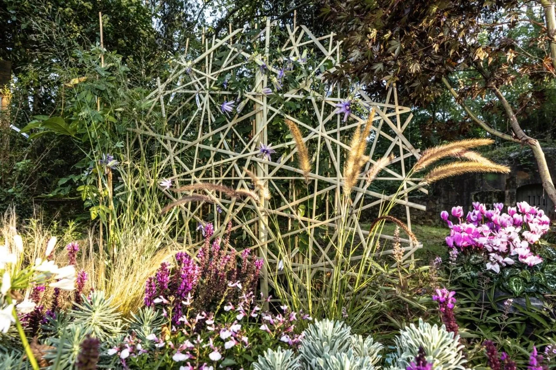 Réalisez votre support de plantes en bambou sur une journée avec Jean-Baptiste - Image n°1 - Wecandoo