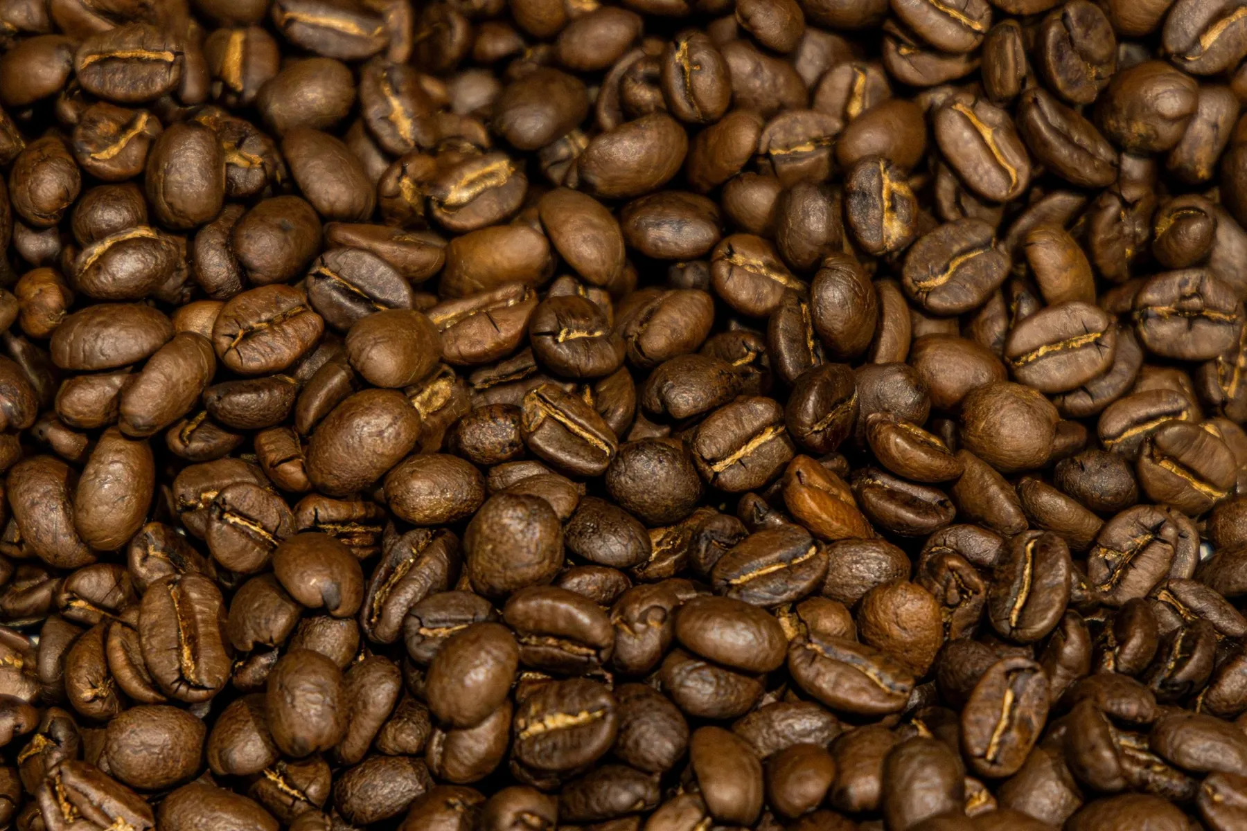 Initiez-vous à la torréfaction - Image n°4 - Wecandoo