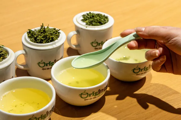 Dégustez des thés japonais bio grand cru - Image n°5 - Wecandoo