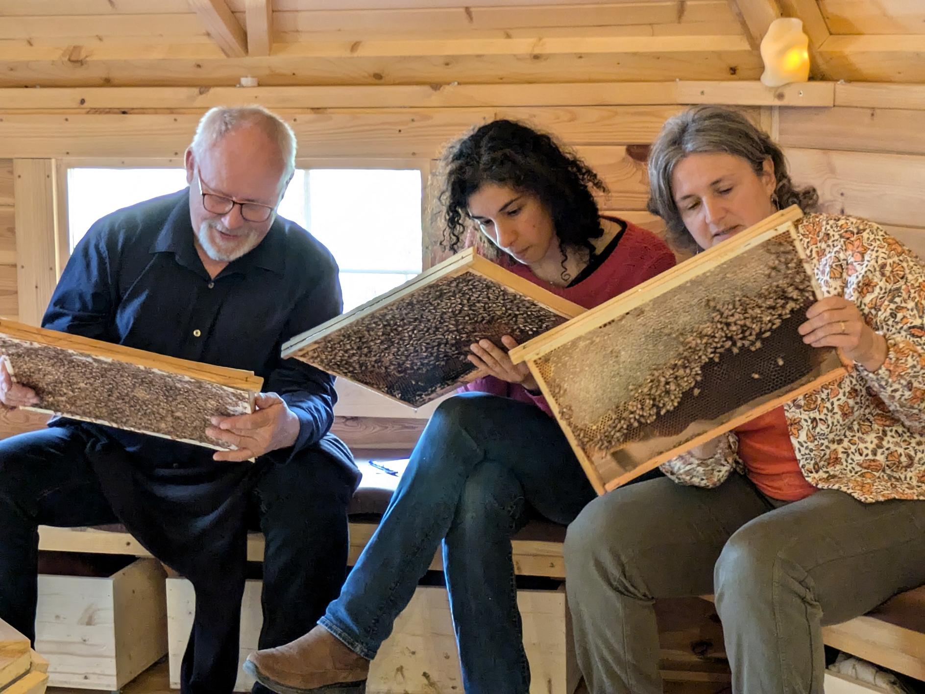 Wecandoo - Captivez votre équipe et découvrez le monde des abeilles avec Estelle - Image n°1