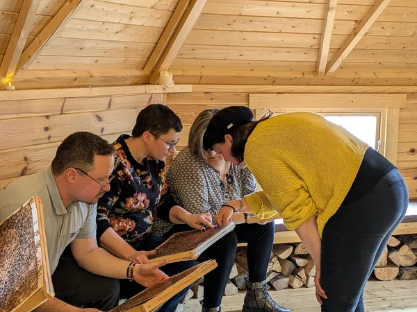 Captivez votre équipe et découvrez le monde des abeilles avec Estelle - Image n°3 - Wecandoo