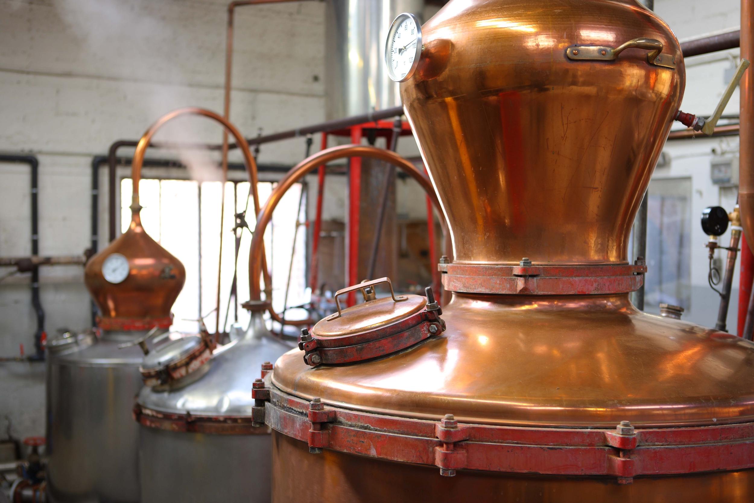 Wecandoo - Initiez-vous à la distillation et à la mixologie avec Caroline et Hadrien - Image n°2