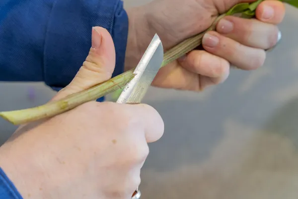 Réalisez votre incroyable bouquet de fleurs locales et de saison avec Capucine et Harmony - Image n°3 - Wecandoo