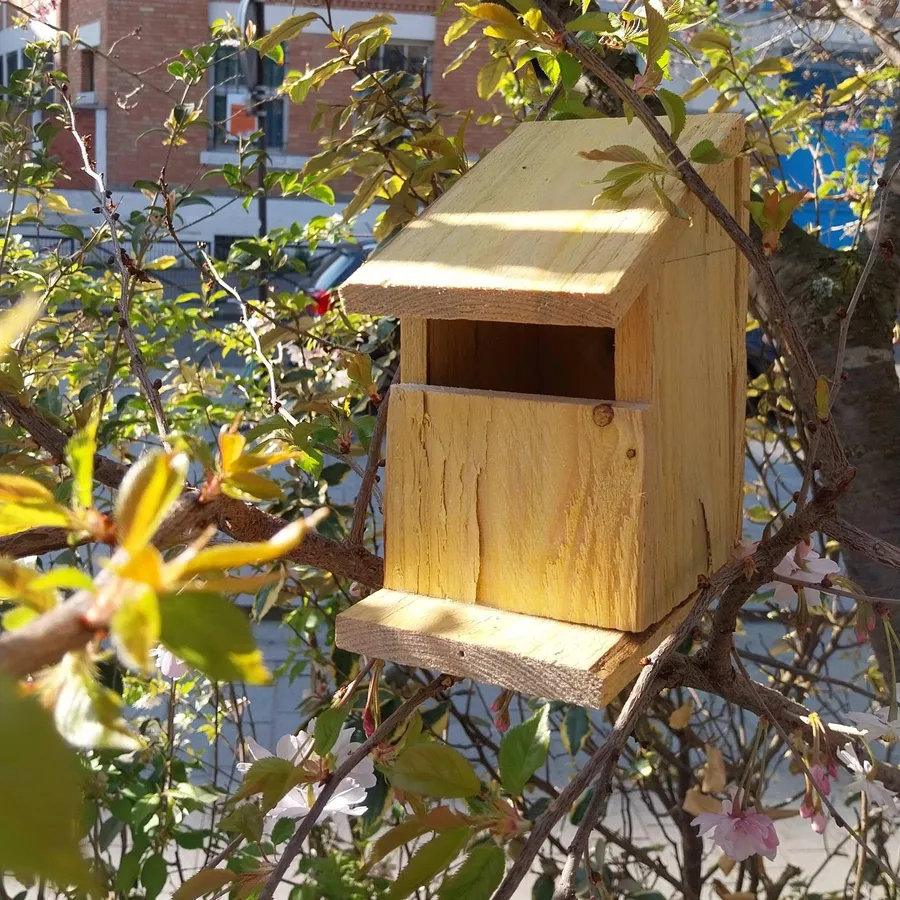 Fabriquez votre nichoir à oiseaux en famille avec Nadine et François - Image n°1 - Wecandoo