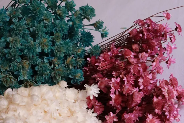 Confectionnez votre couronne de fleurs séchées avec Chloé - Afbeelding nr. 5 - Wecandoo