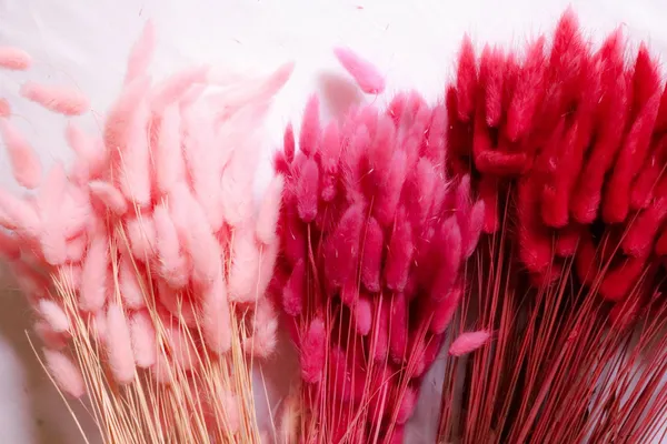 Confectionnez votre couronne de fleurs séchées avec Chloé - Afbeelding nr. 2 - Wecandoo