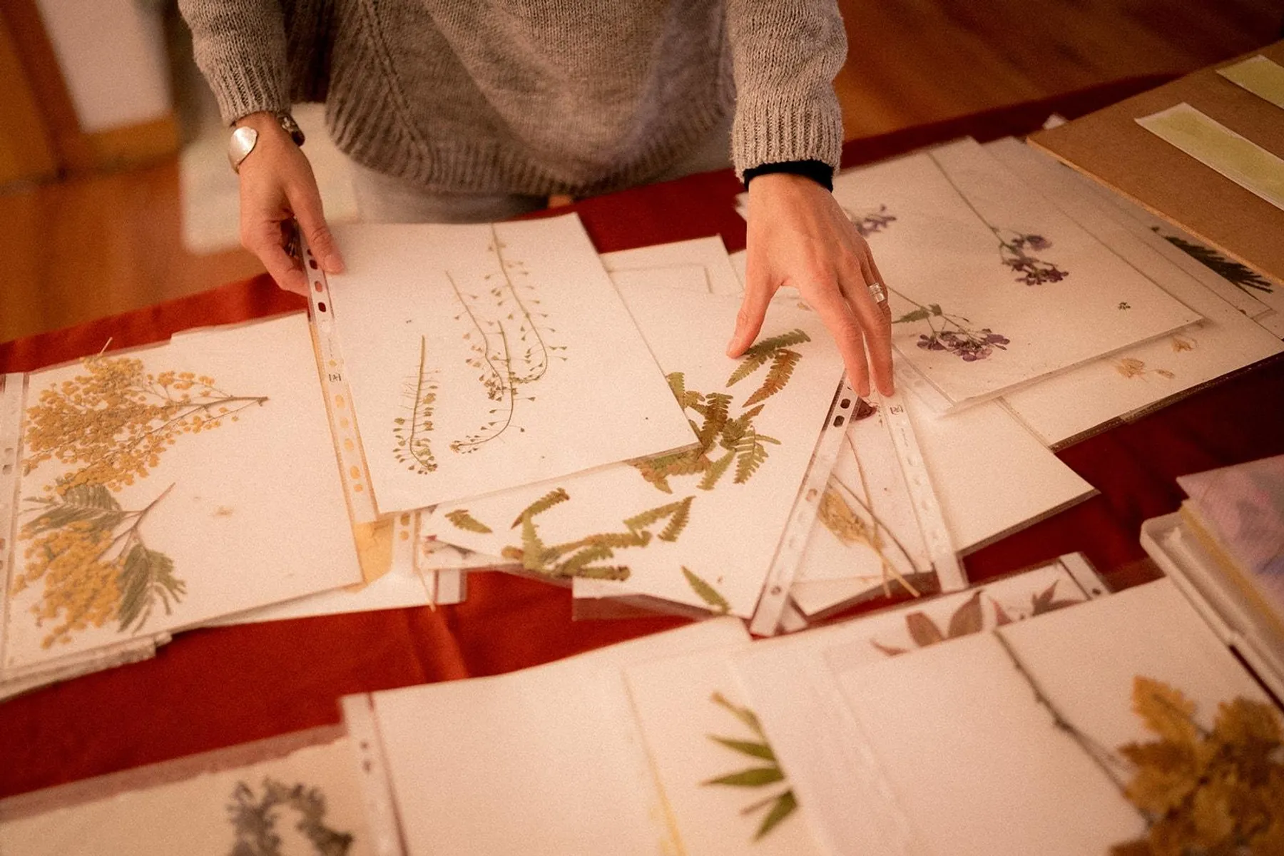 Explorez le cyanotype avec Fanny - Image n°3 - Wecandoo