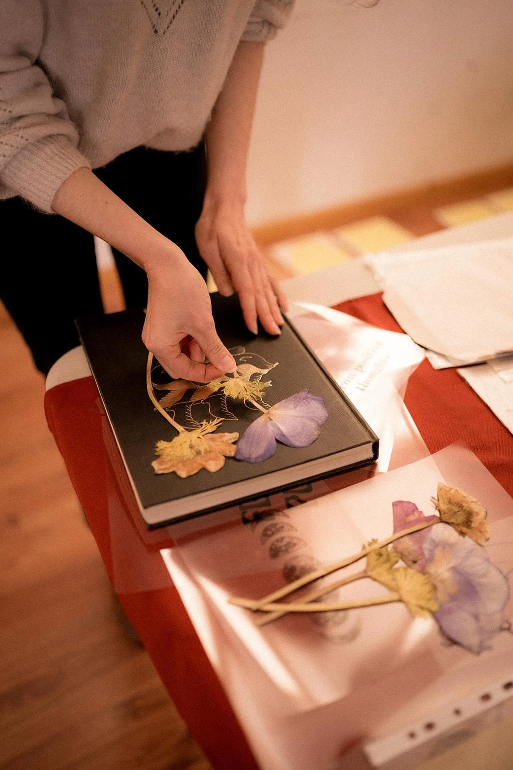 Explorez le cyanotype avec Fanny - Image n°5 - Wecandoo