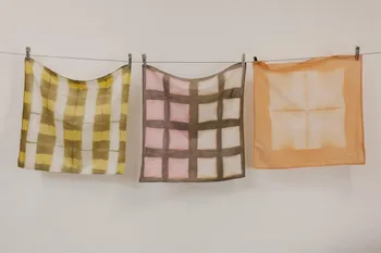 Créez votre foulard en teinture végétale