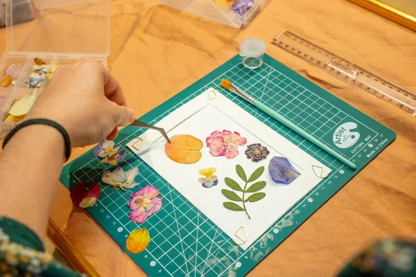 Réalisez votre herbier avec Julie - Afbeelding nr. 3 - Wecandoo