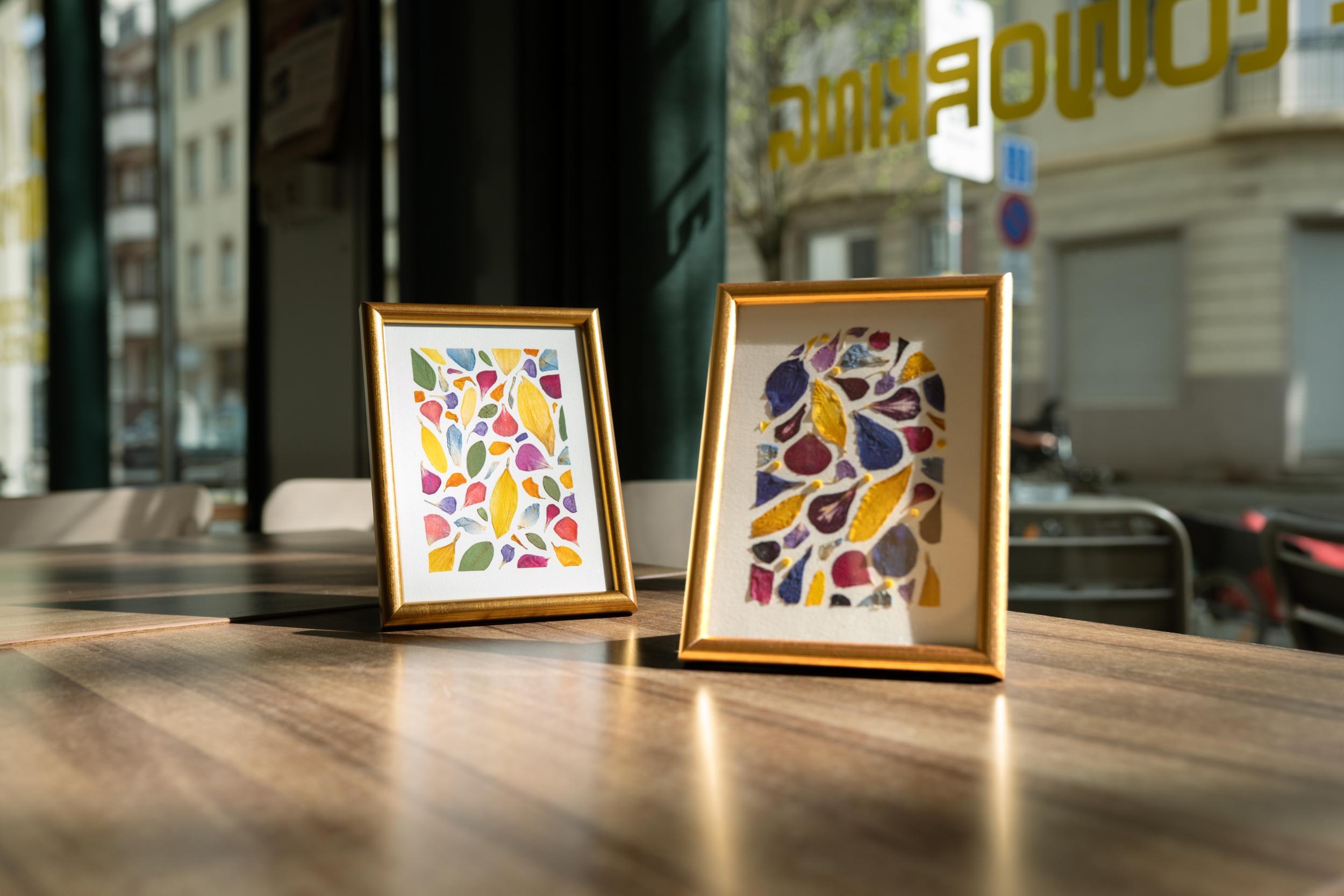 Réalisez votre herbier