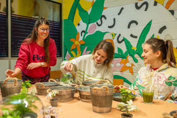 Réalisez votre terrarium autour d'un apéro avec Julie - Image n°4 - Wecandoo