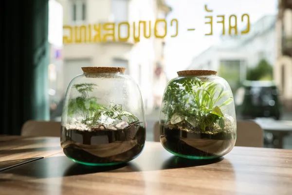 Wecandoo - Réalisez votre terrarium autour d'un apéro