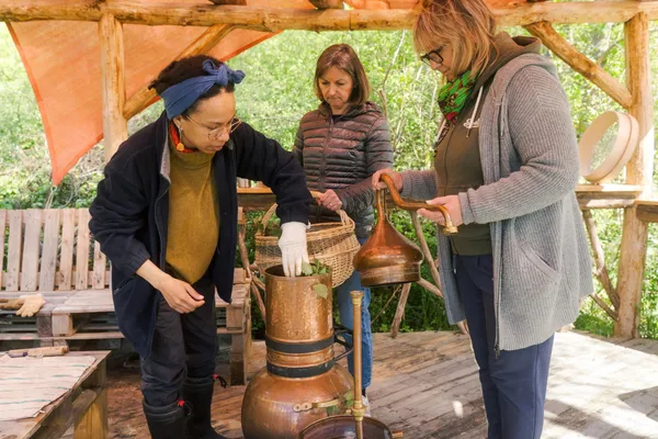 Réalisez votre eau de parfum avec Carine - Afbeelding nr. 4 - Wecandoo