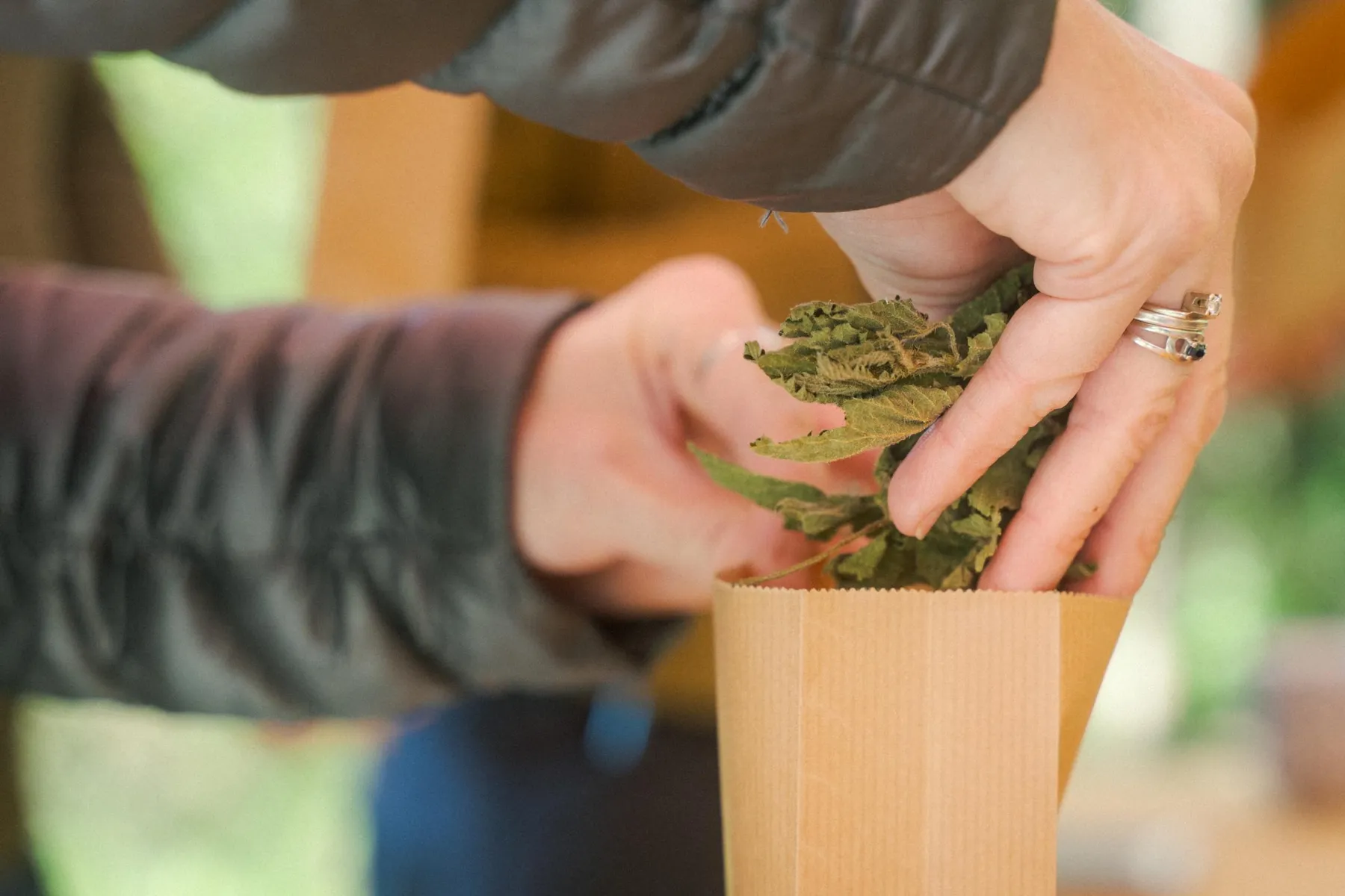 Réalisez votre tisane avec Carine - Image n°3 - Wecandoo