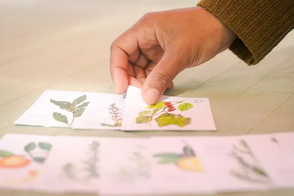 Découvrez la distillation de plantes avec Carine - Image n°3 - Wecandoo