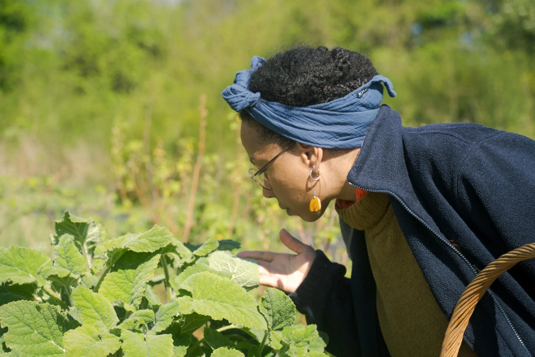 Découvrez la distillation de plantes avec Carine - Image n°2 - Wecandoo