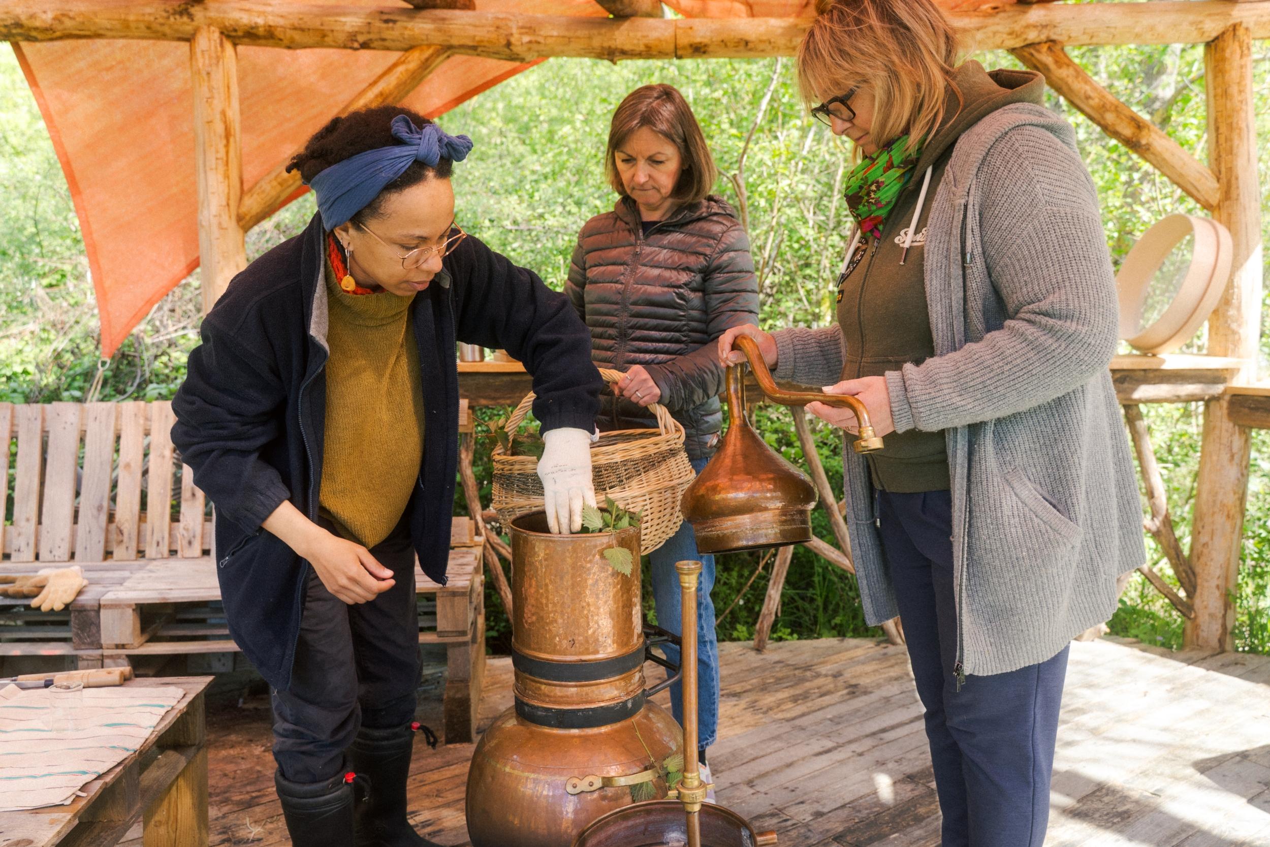 Wecandoo - Découvrez la distillation de plantes avec Carine - Image n°4