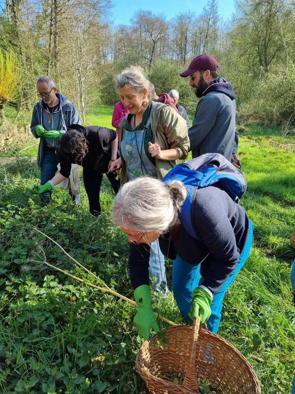 Initiez-vous à la cueillette sauvage - Image n°5 - Wecandoo