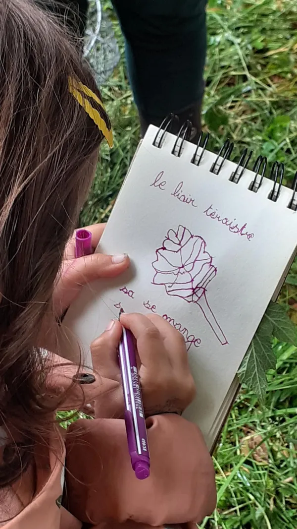 Initiez-vous à la cueillette sauvage - Image n°4 - Wecandoo