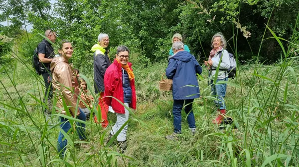 Initiez-vous à la cueillette sauvage - Image n°2 - Wecandoo
