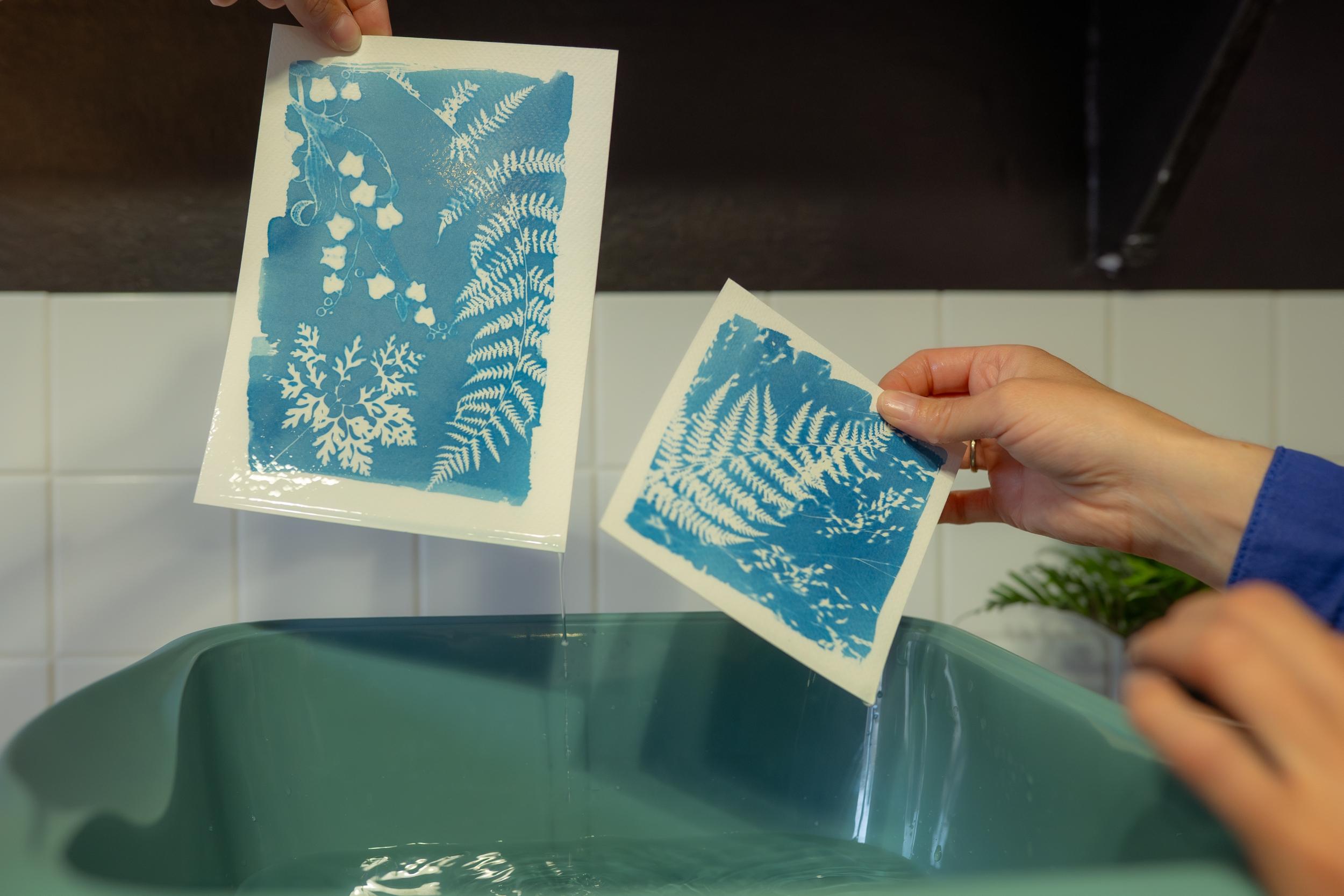 Wecandoo - Initiez-vous au cyanotype avec Mathilde - Image n°5