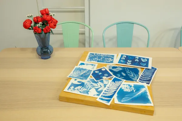 Wecandoo - Initiez-vous au cyanotype
