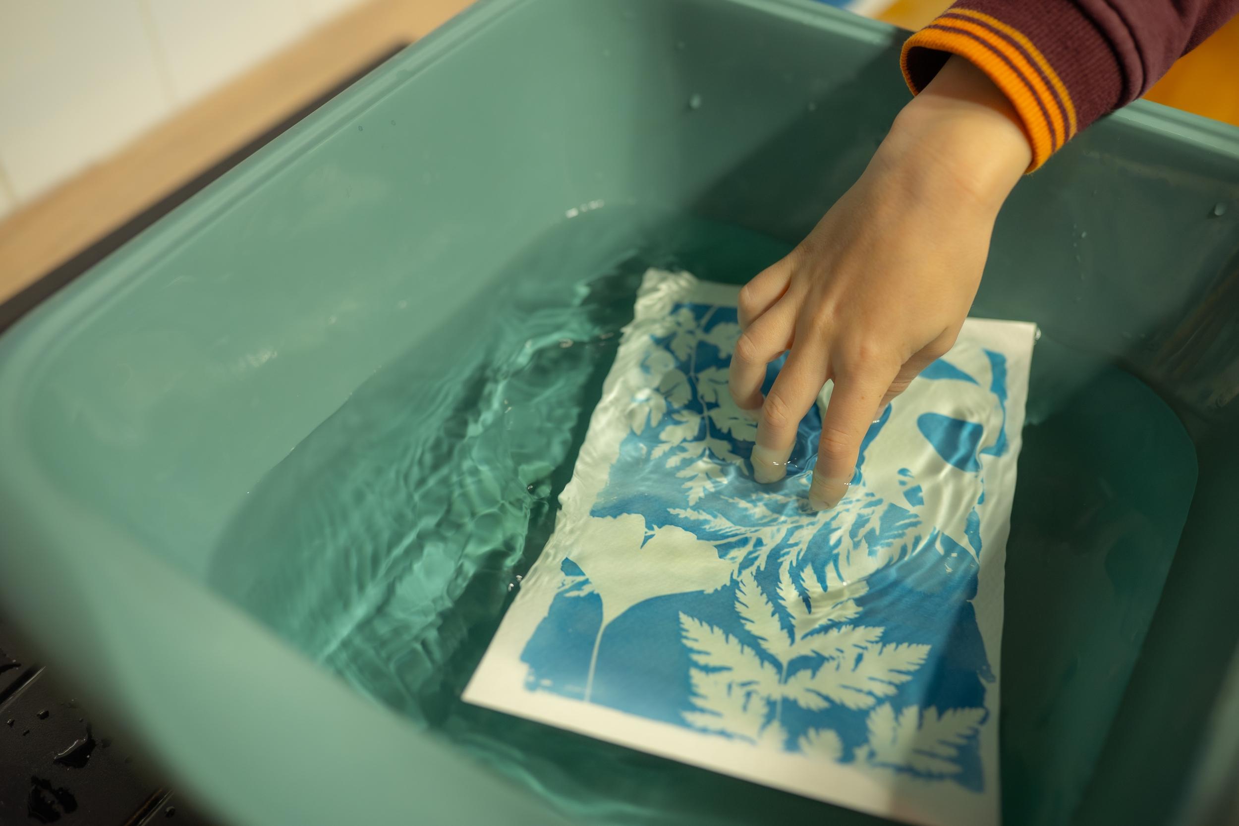 Wecandoo - Initiez-vous au cyanotype en duo avec votre enfant, accompagnés par Mathilde - Image n°2