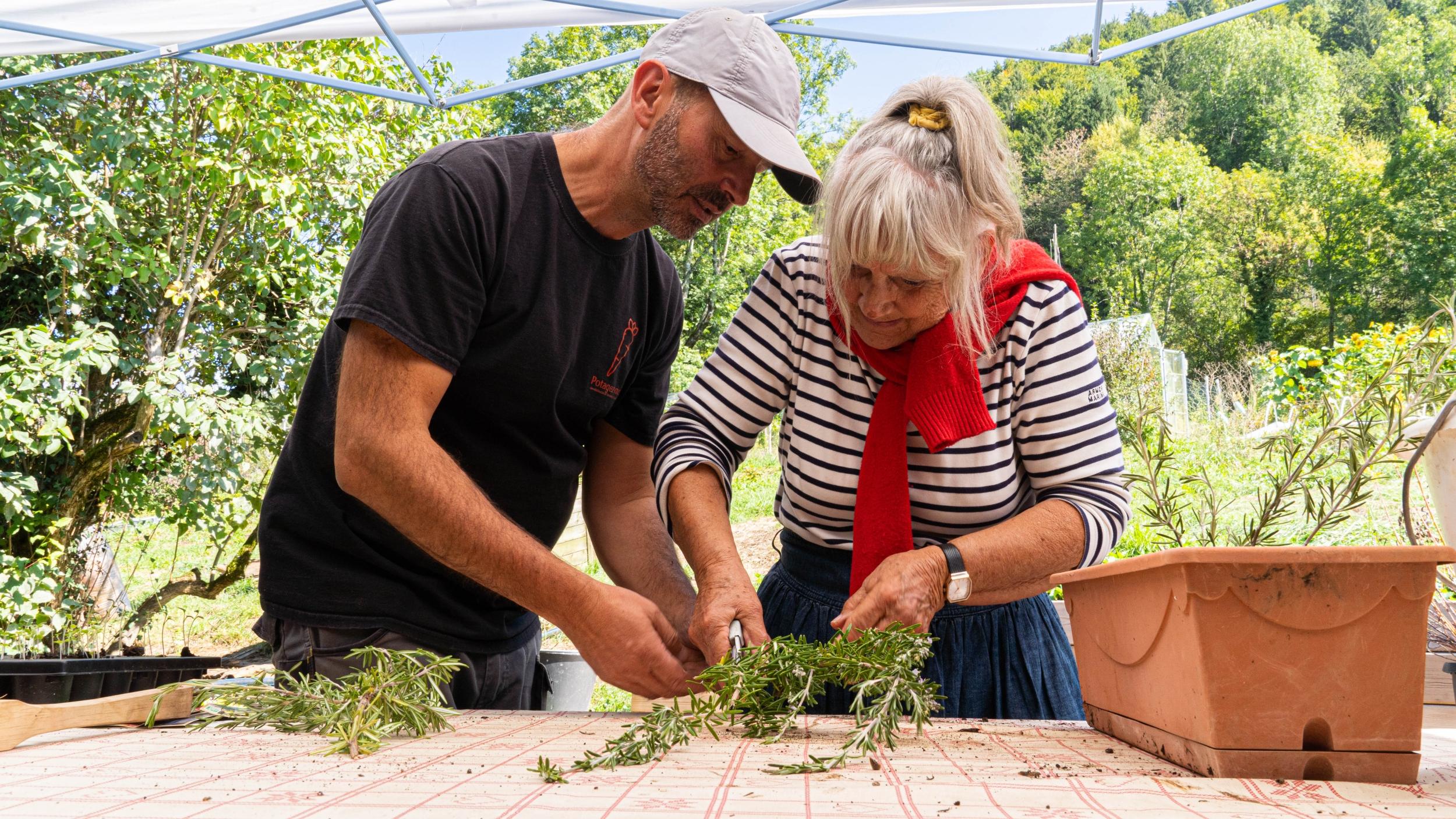 Wecandoo - Réalisez votre potager en permaculture avec Didier - Image n°5