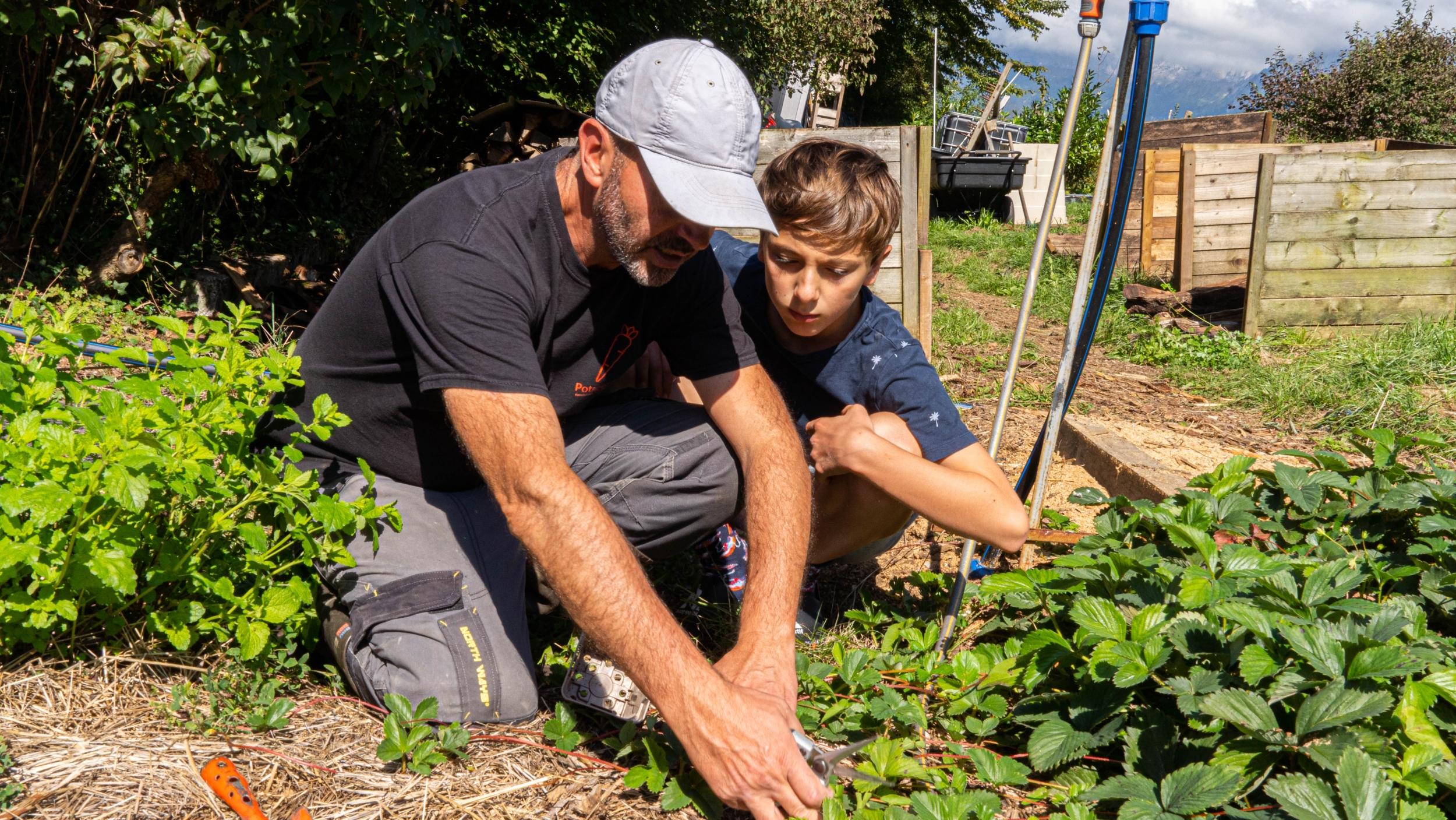 Wecandoo - Réalisez votre potager en permaculture avec Didier - Image n°9
