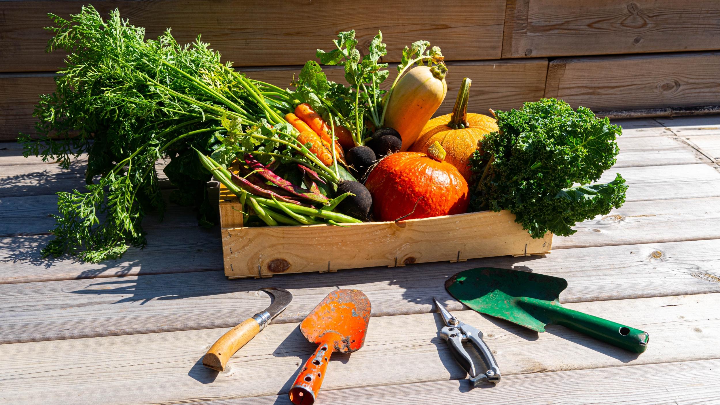 Réalisez votre potager en permaculture