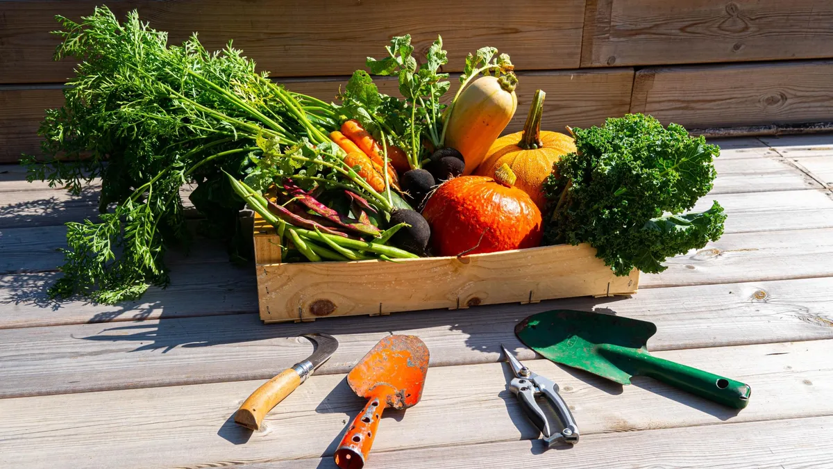 Réalisez votre potager en permaculture