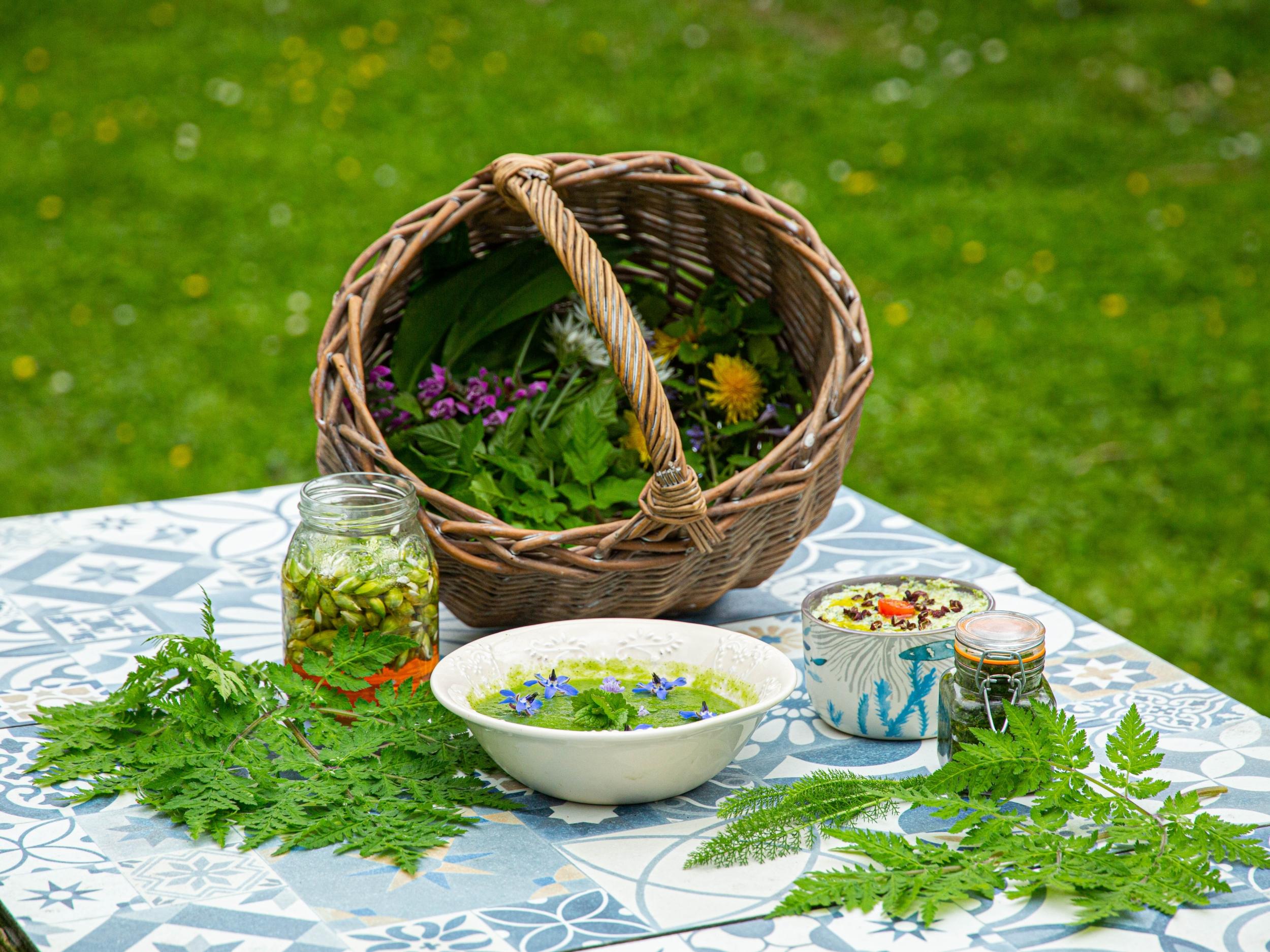Récoltez vos plantes sauvages comestibles