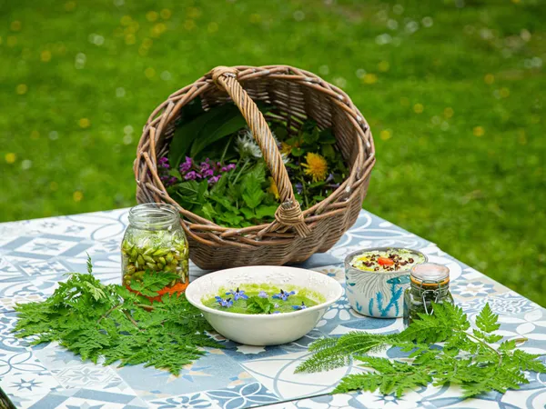 Wecandoo - Récoltez vos plantes sauvages comestibles