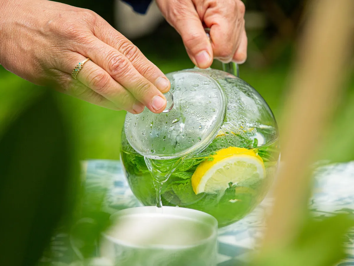 Créez votre tisane