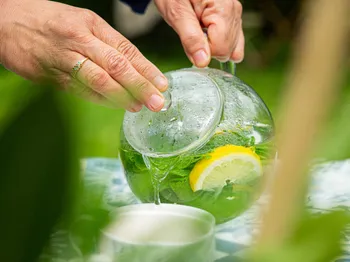 Créez votre tisane