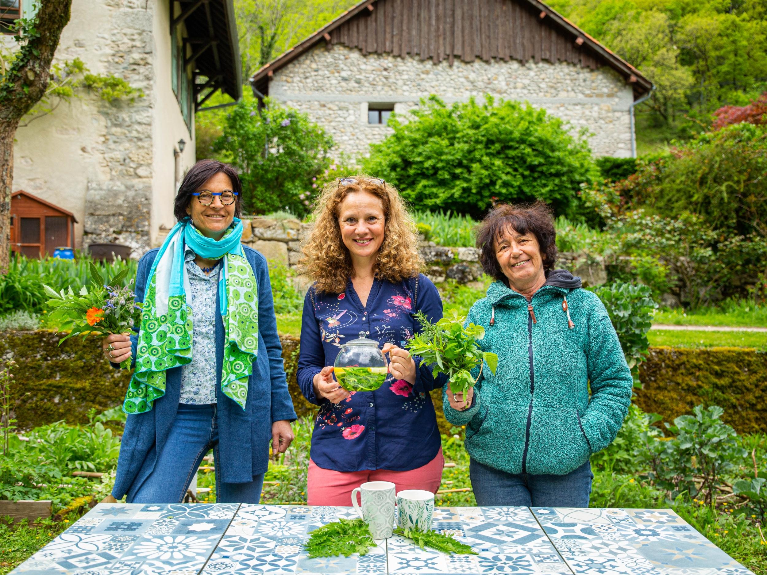 Wecandoo - Récoltez vos plantes sauvages comestibles avec Marie - Image n°8