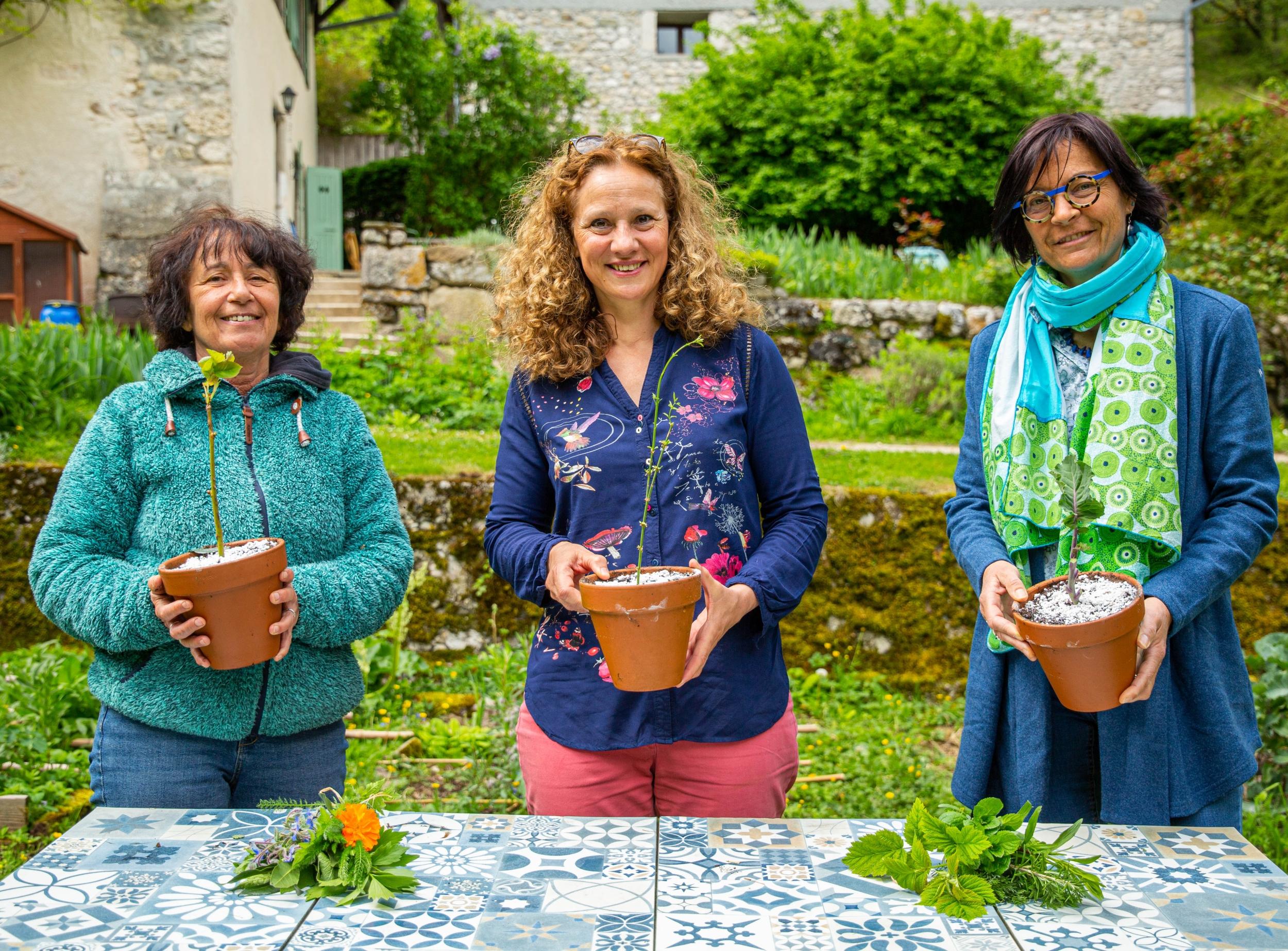 Wecandoo - Initiez-vous au bouturage avec Marie - Image n°3