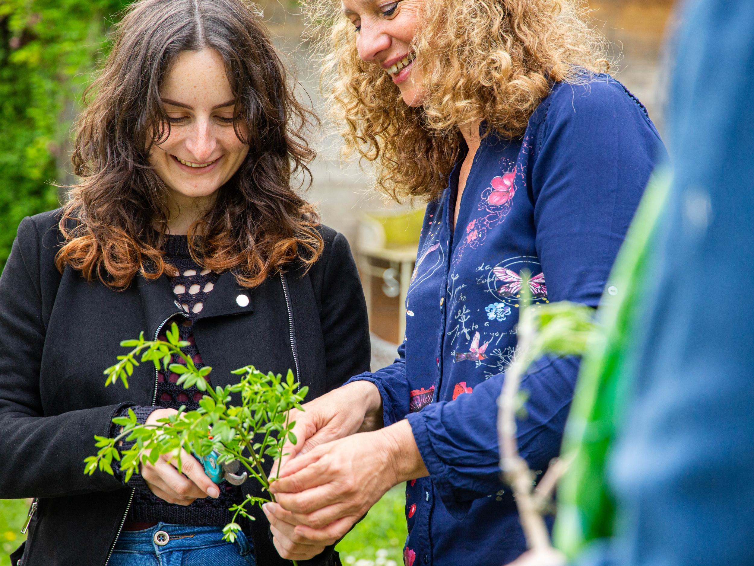 Wecandoo - Initiez-vous au bouturage avec Marie - Image n°7