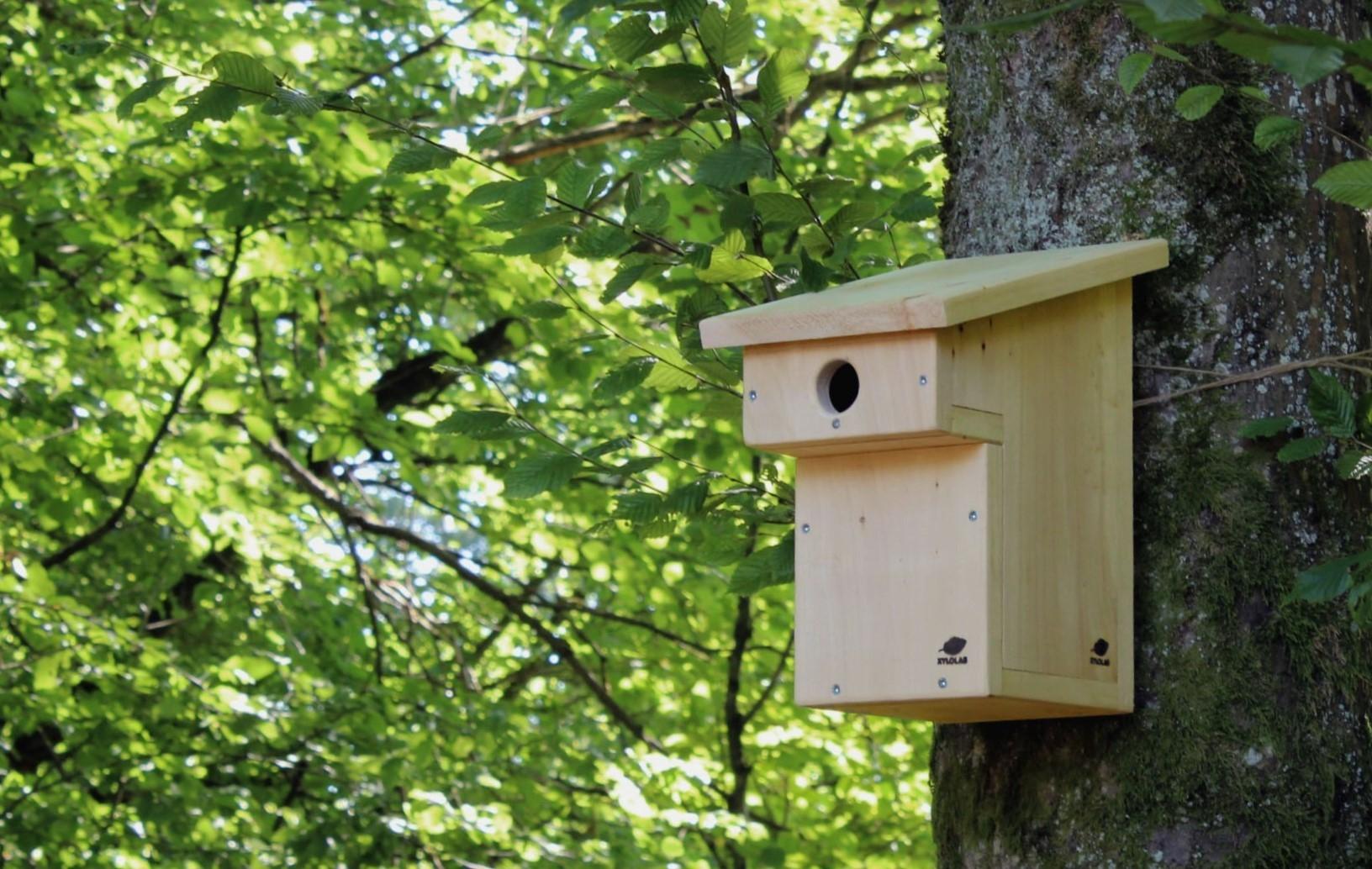 Fabriquez votre nichoir à oiseaux en bois à Épinal
