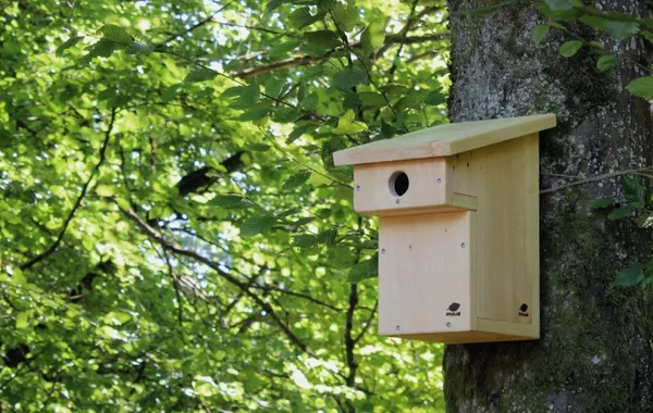 Wecandoo - Fabriquez votre nichoir à oiseaux en bois
