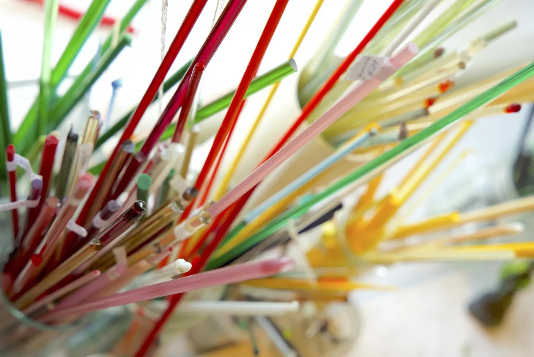 Réalisez votre mini terrarium filé au chalumeau sur deux jours avec Catherine - Image n°2 - Wecandoo