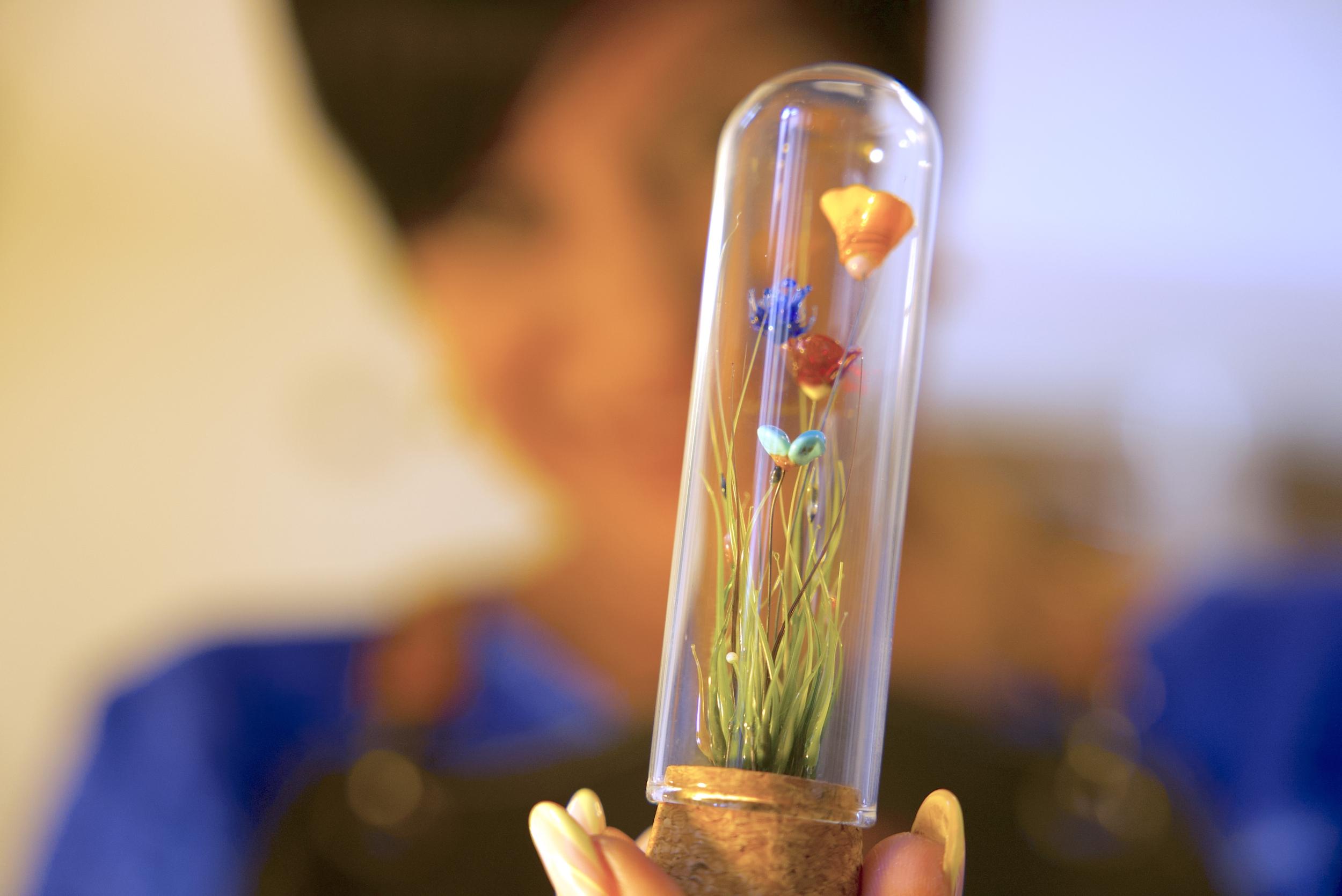 Réalisez votre mini terrarium filé au chalumeau - 2J