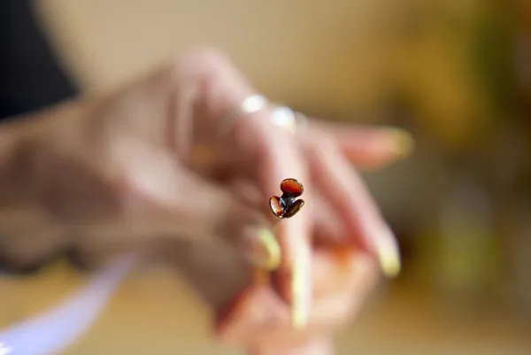 Réalisez votre bouquet de fleurs filé au chalumeau sur une journée avec Catherine - Image n°5 - Wecandoo