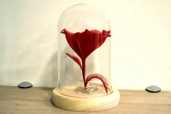 Réalisez votre rose éternelle en plumes