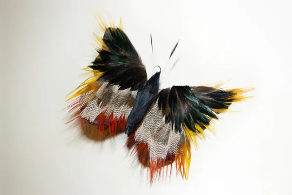 Wecandoo - Créez votre papillon en plumes