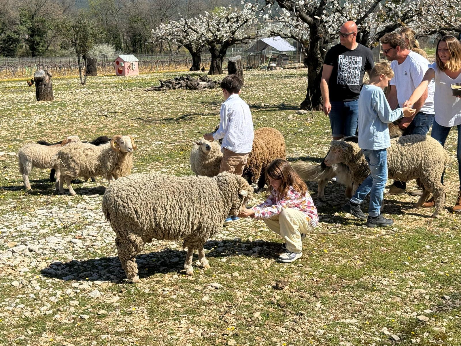 Wecandoo - Visitez une ferme multi-activités avec Lindsay - Image n°8