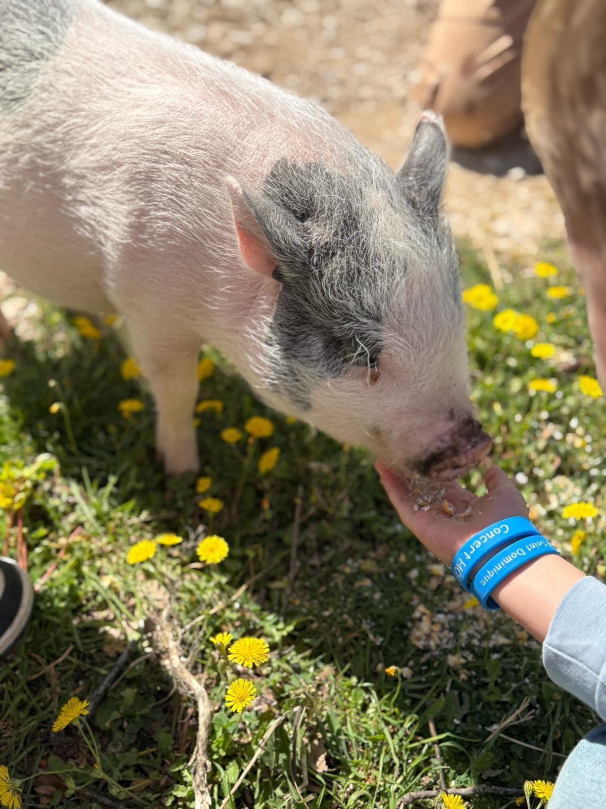 Wecandoo - Visitez une ferme multi-activités avec Lindsay - Image n°3