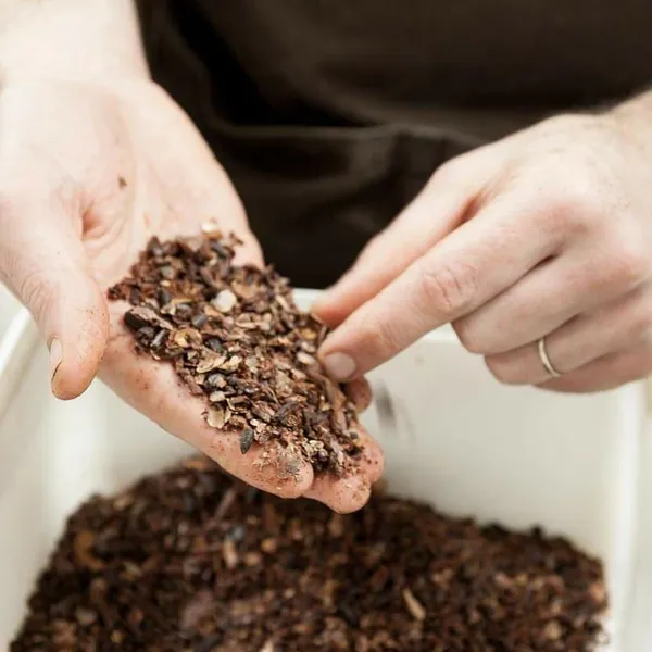 Réunissez votre équipe et dégustez des chocolats artisanaux avec Sabrina et Andrès - Image n°2 - Wecandoo