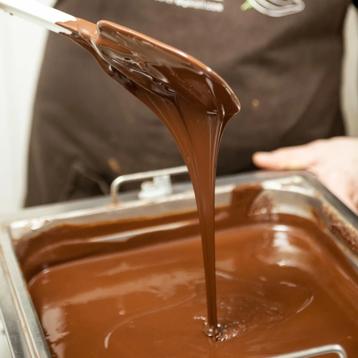 Dégustez des chocolats artisanaux